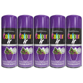 5X Paint Factory Proper Purple Gloss Spray Paint 400ml Spray Paint